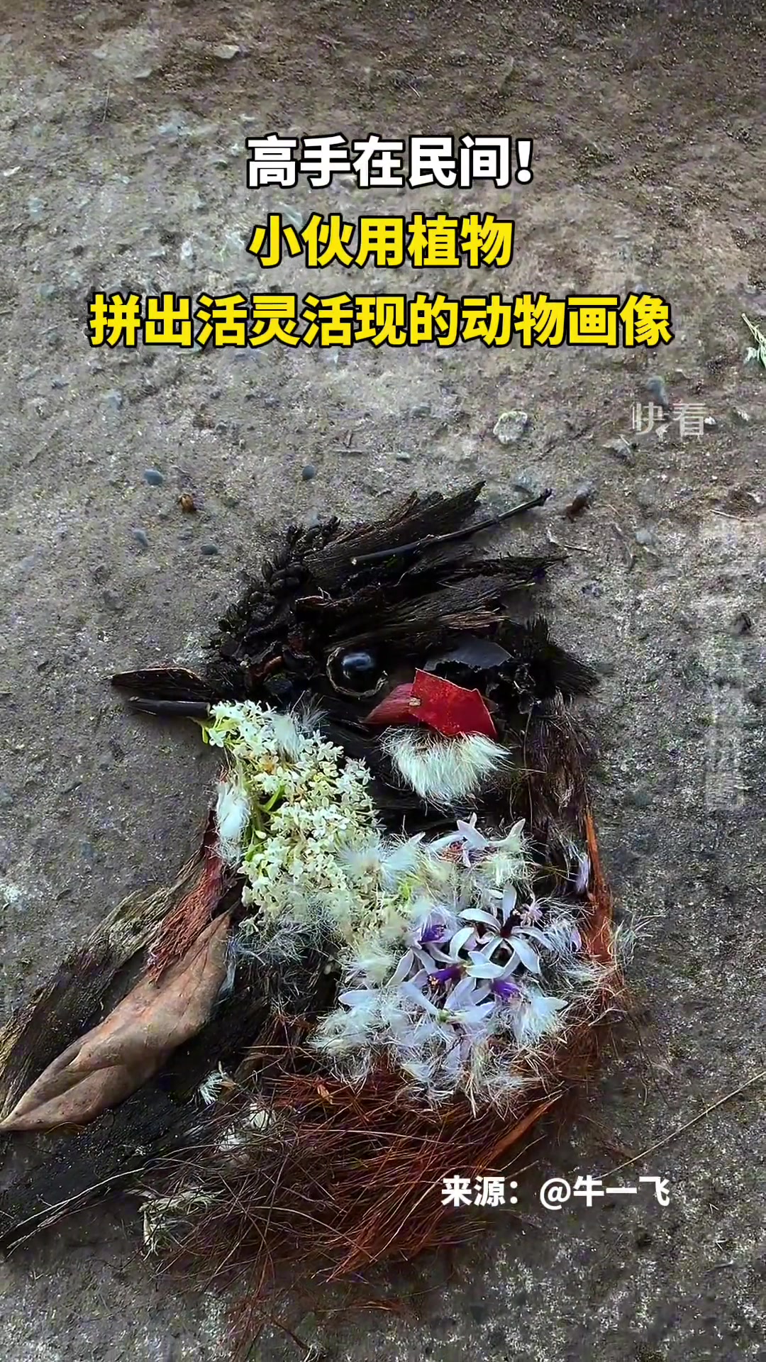 高手在民间！小伙用植物拼出活灵活现的动物画像