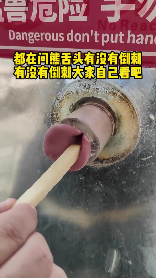 我有一个大胆的想法