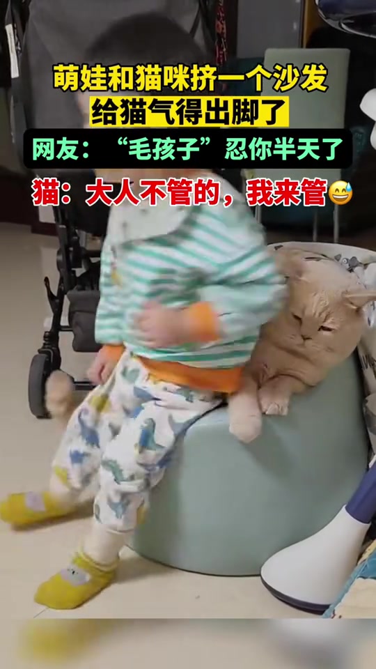 当体型相当的时候就会产生争端