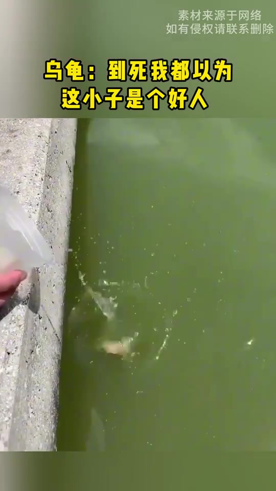 龟龟我啊，也是到头了呢