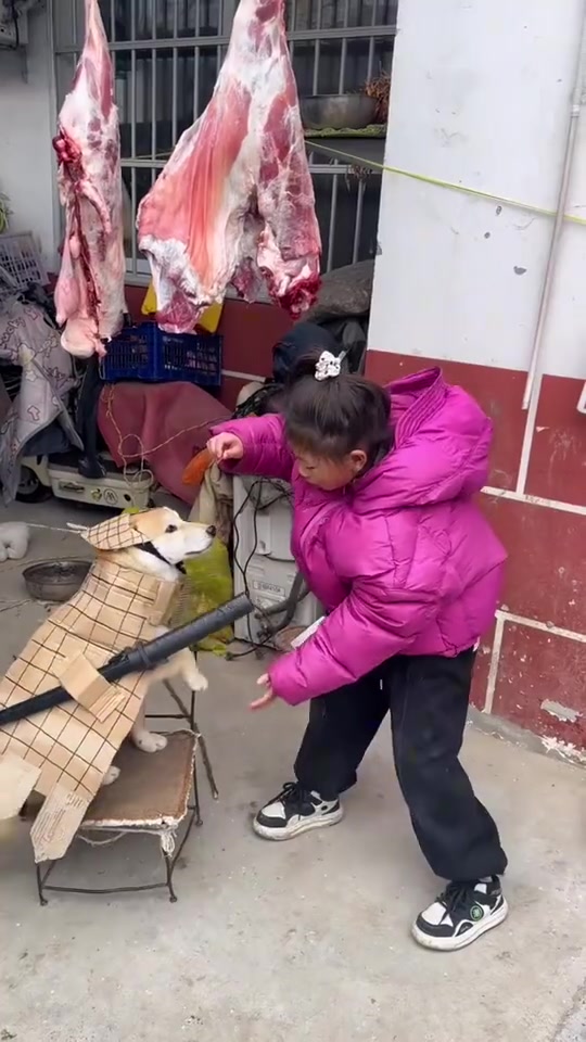 这块肉要是少了一点，狗子有推脱不掉的责任！