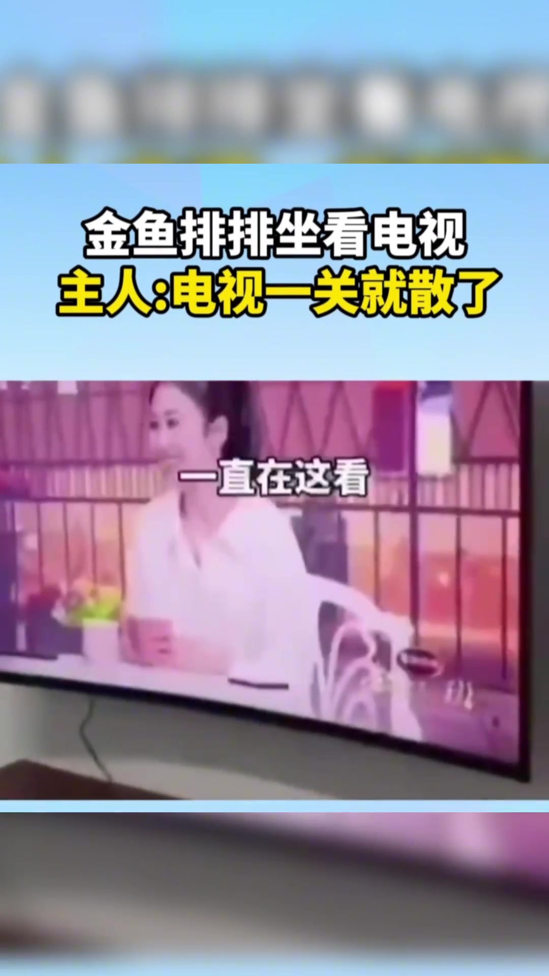 金鱼排排看电视，电视一关就散开