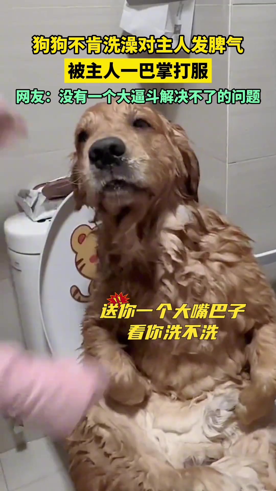 就没有一个大逼斗解决不了的问题