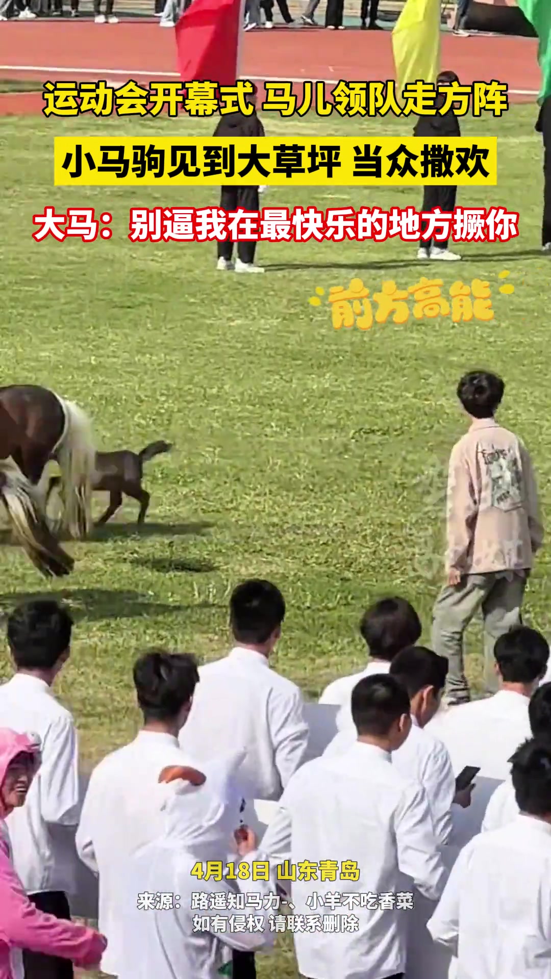 大马：别逼我在最快乐的地方撅你