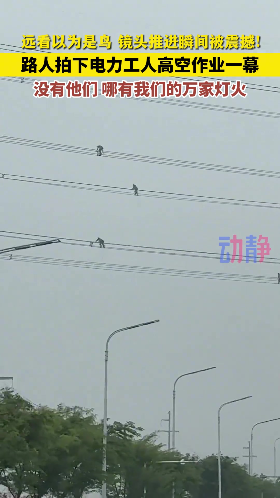 “远看以为是鸟儿 镜头推近的瞬间被震撼了”