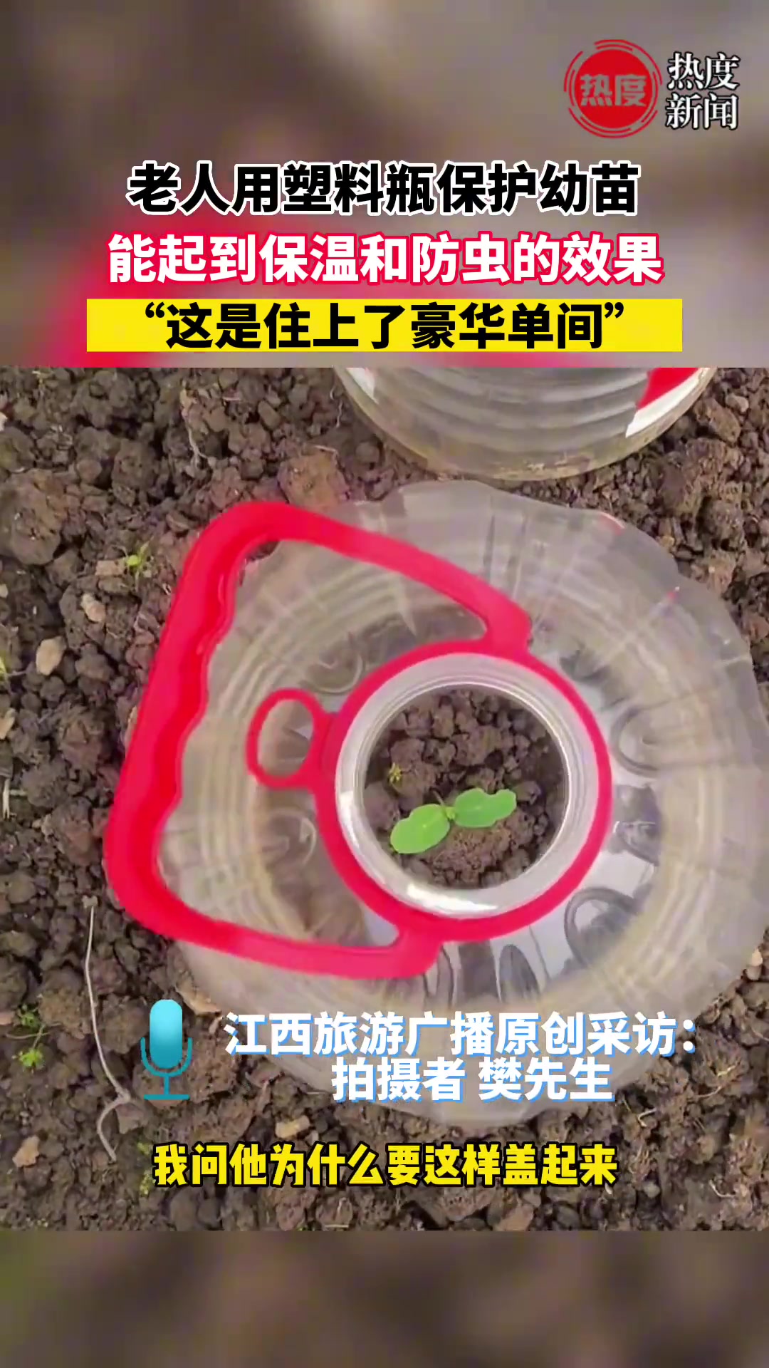 这是给幼苗住上了豪华套间了吗？