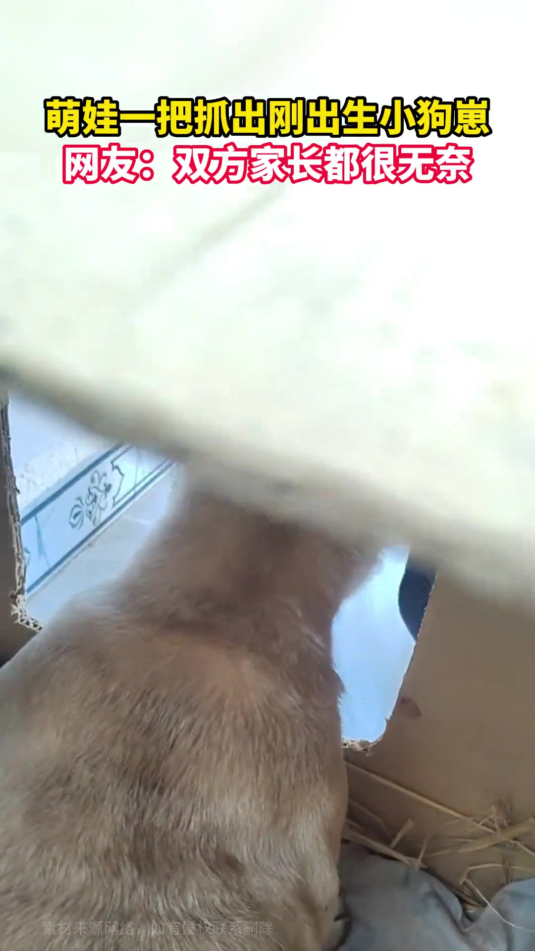 双方家长都很无奈