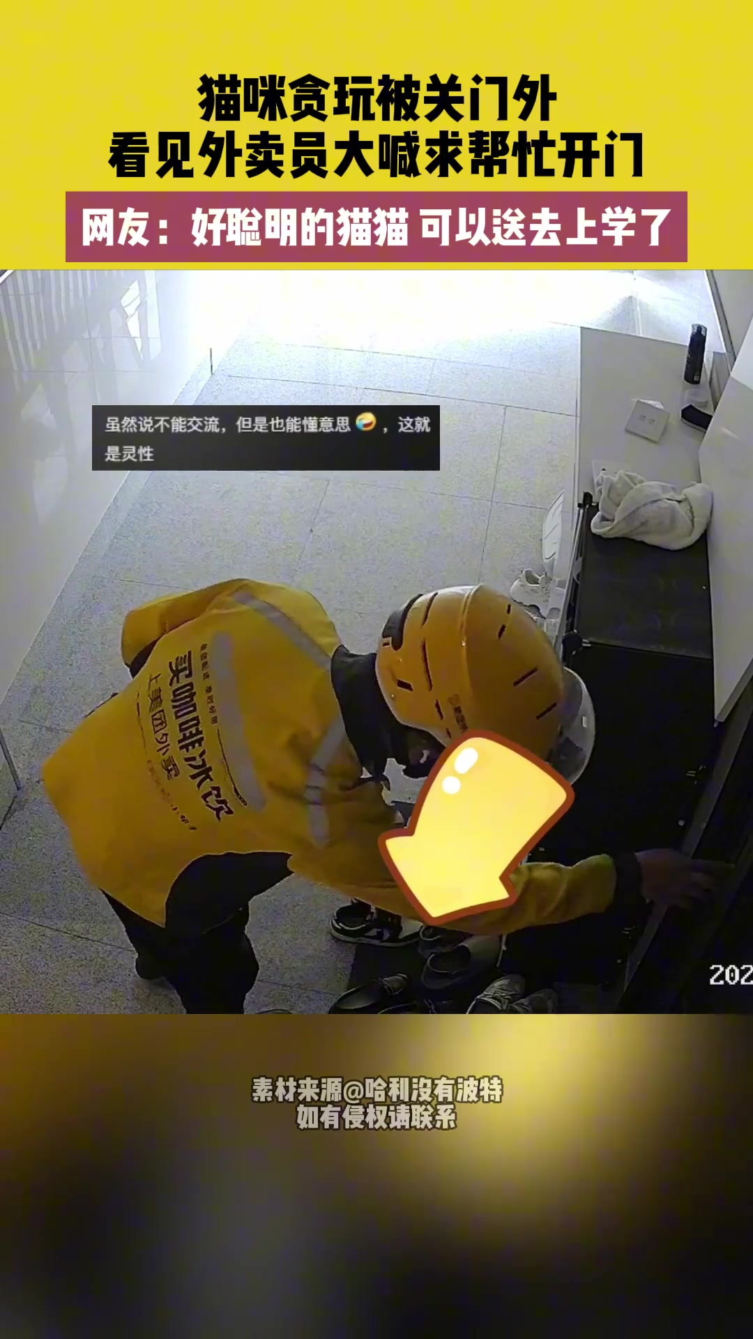 猫咪贪玩被关门外，看见外卖员大喊求帮忙开门