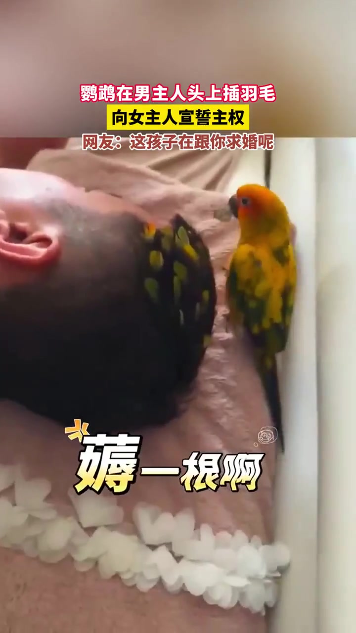 你搁这给我宣誓主权吗？