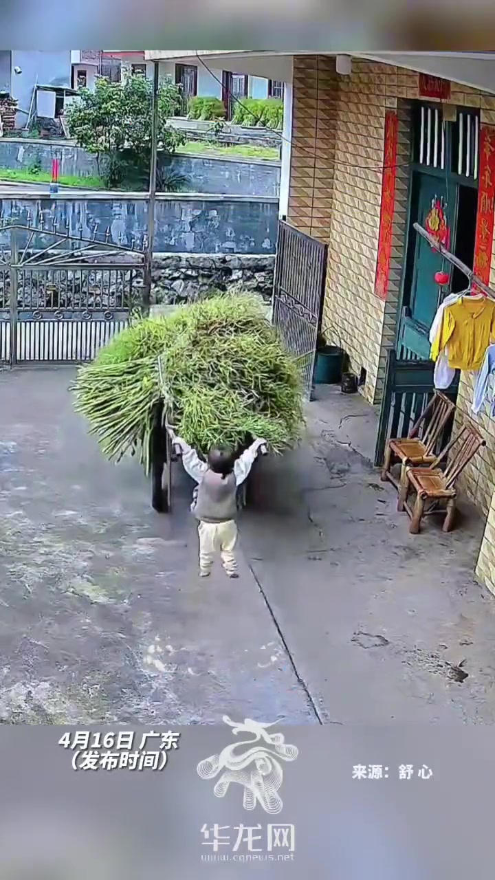 萌娃学着大人推车，不料体重太轻，直接“起飞”。