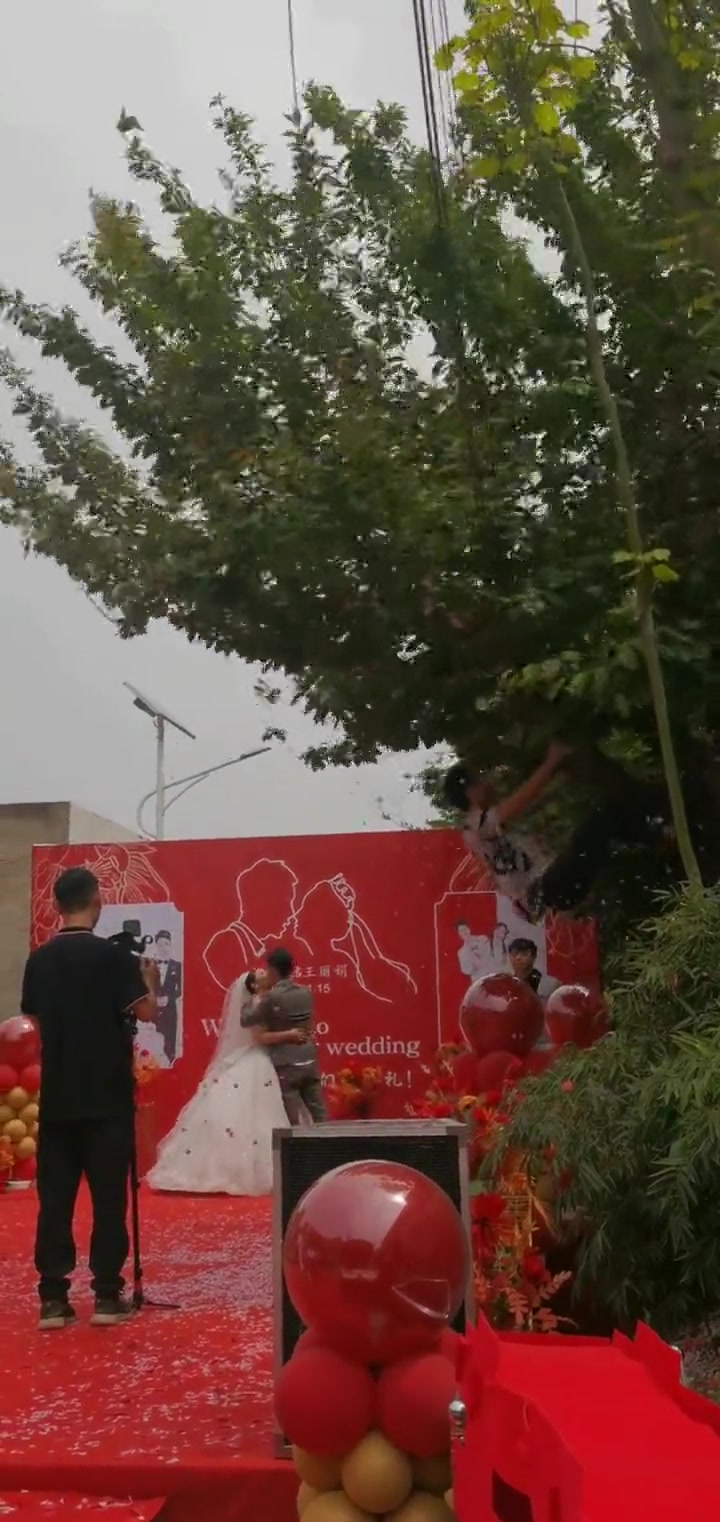 结婚还有人工特效啊，真是费树啊