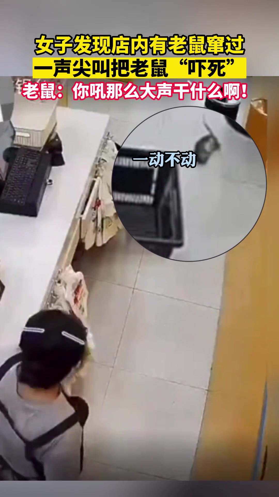 女子发现店内有老鼠窜过，一声尖叫把老鼠“吓死”