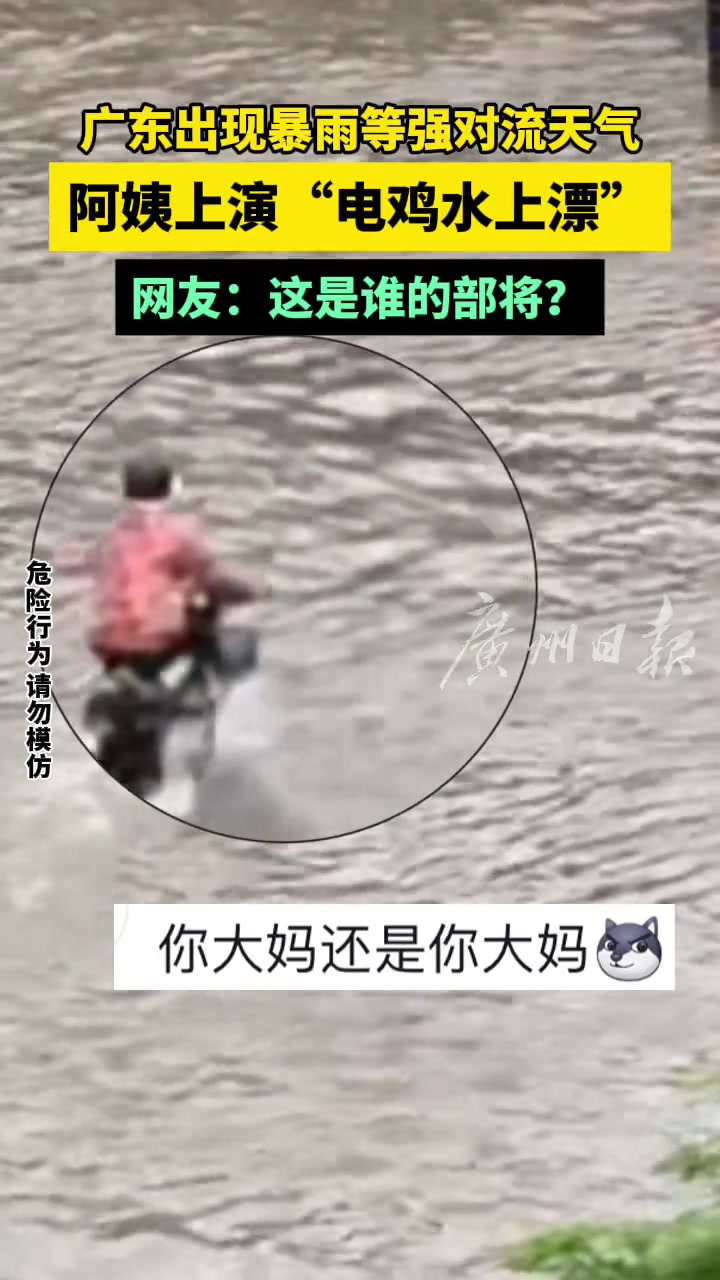 这是谁的部将？竟上演“电鸡水上漂”