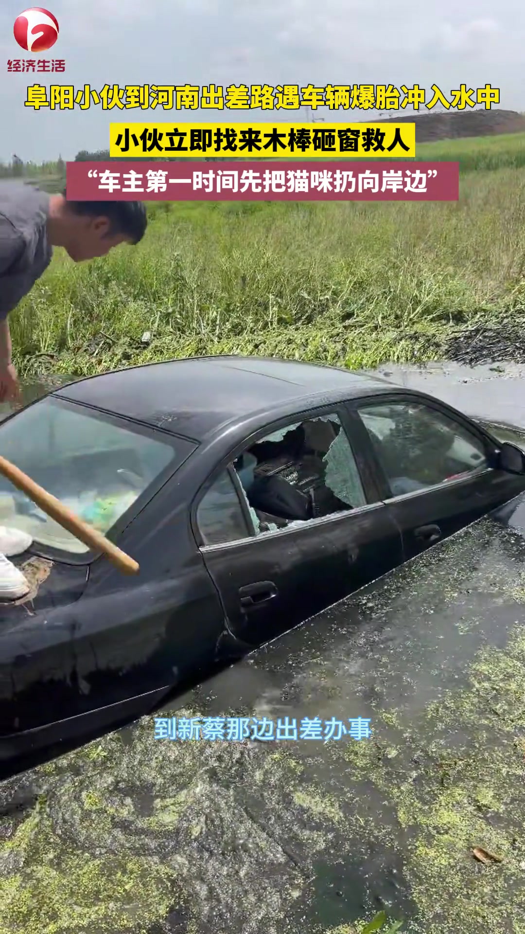 路遇一辆车爆胎冲入水中王楠立即下车找来木棒砸窗救人