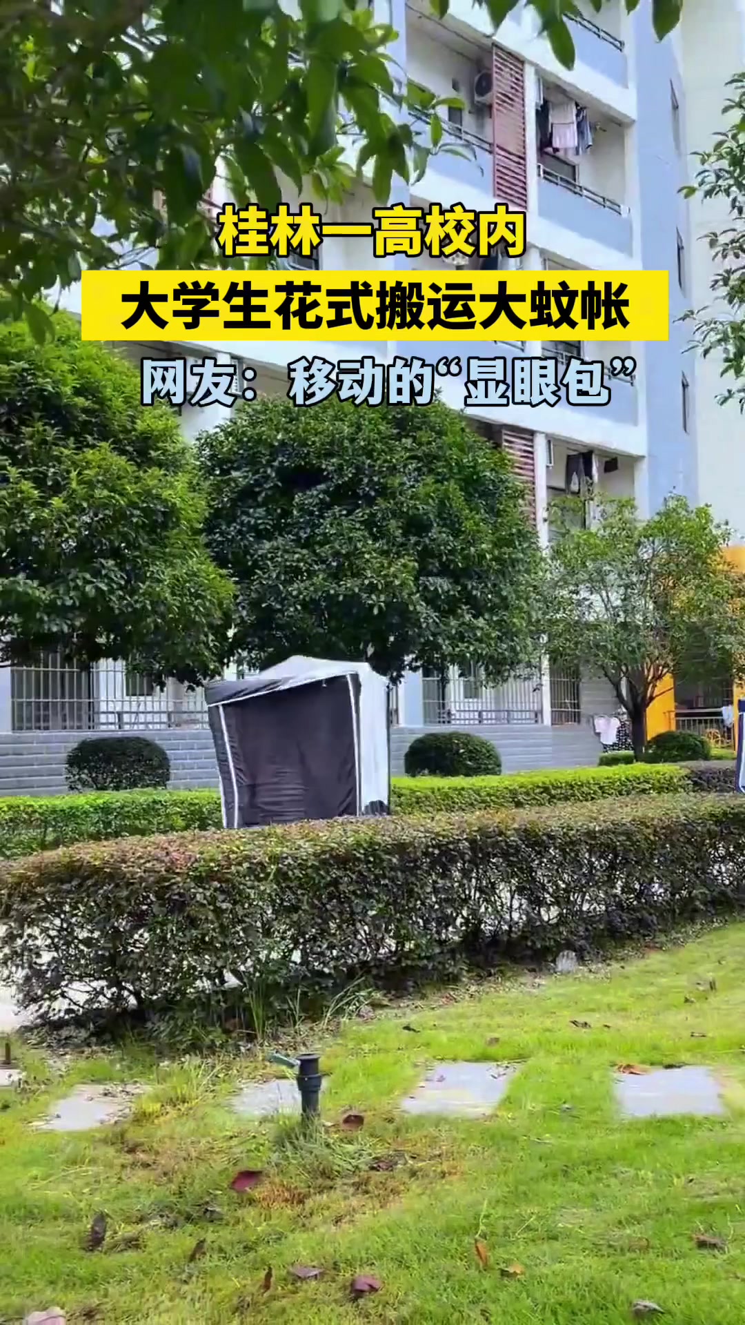 网友分享校开学时的有趣一幕，大学生花式搬运大蚊帐