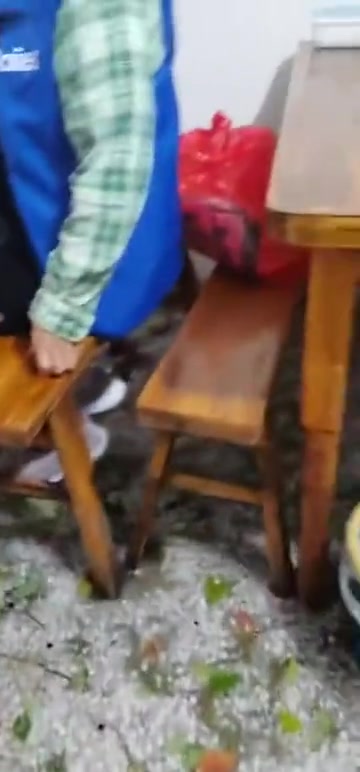 我还以为是皮蛋廋肉粥呢