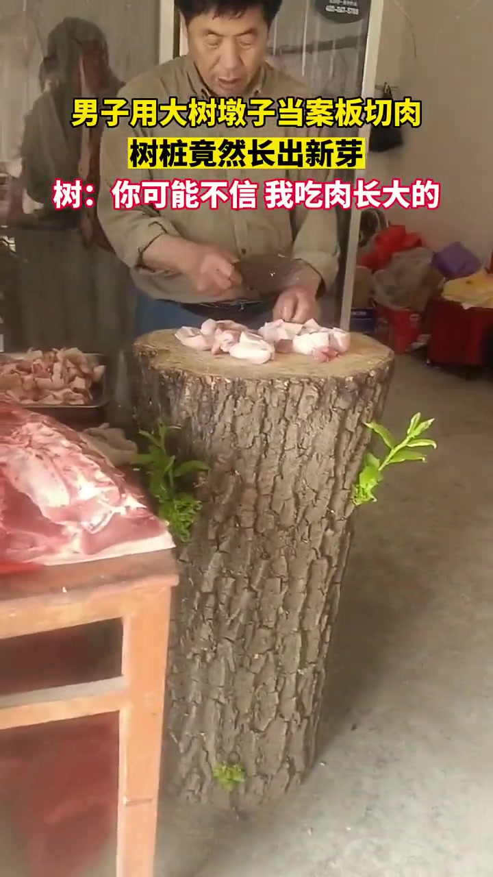 生活没心没肺，吃肉坦然面对