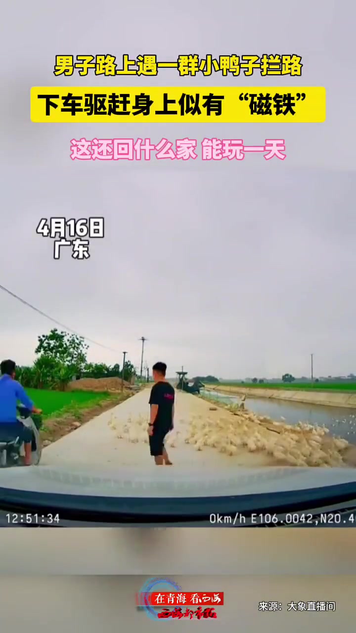 他追我逃，他跑我追，他插翅难飞