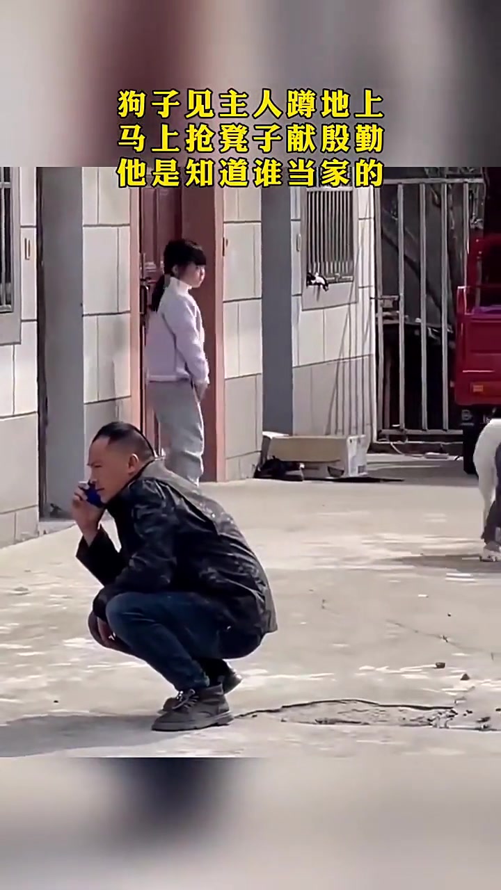 狗狗的心思都写在脸上了