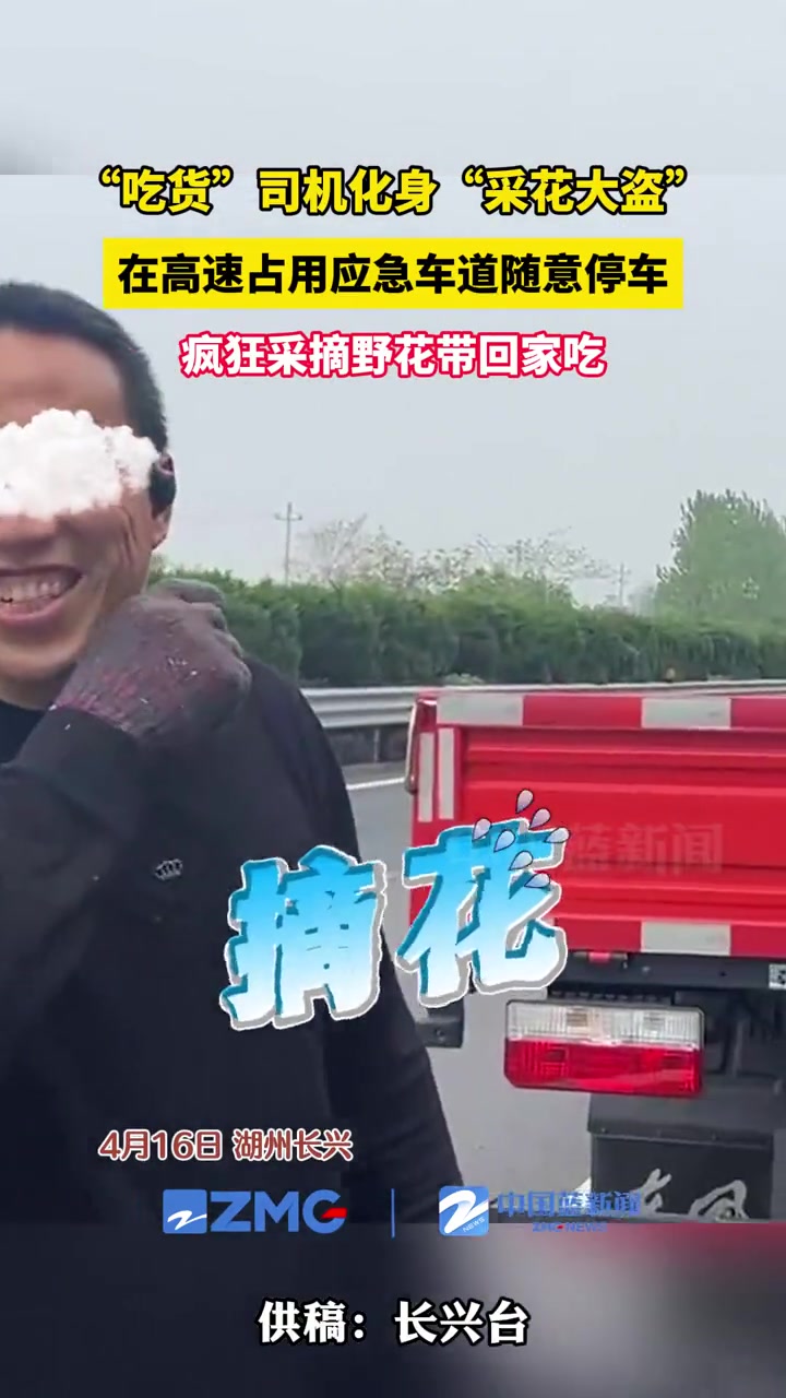 吃货司机在高速应急车道化身采花大盗