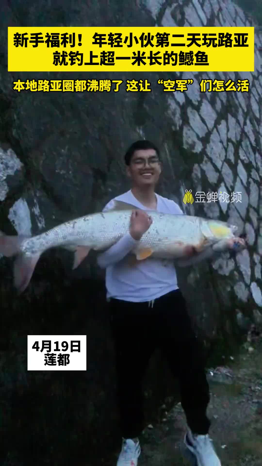 这下彻底入坑