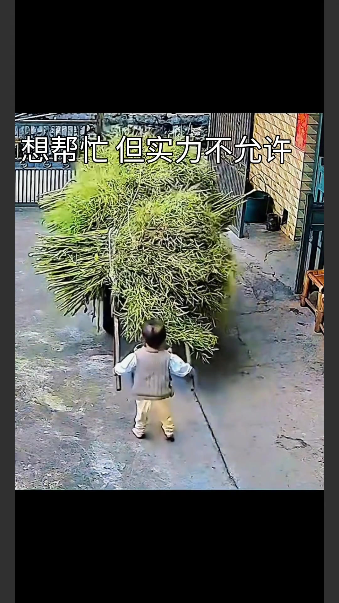 这臂力可以送进体操队了