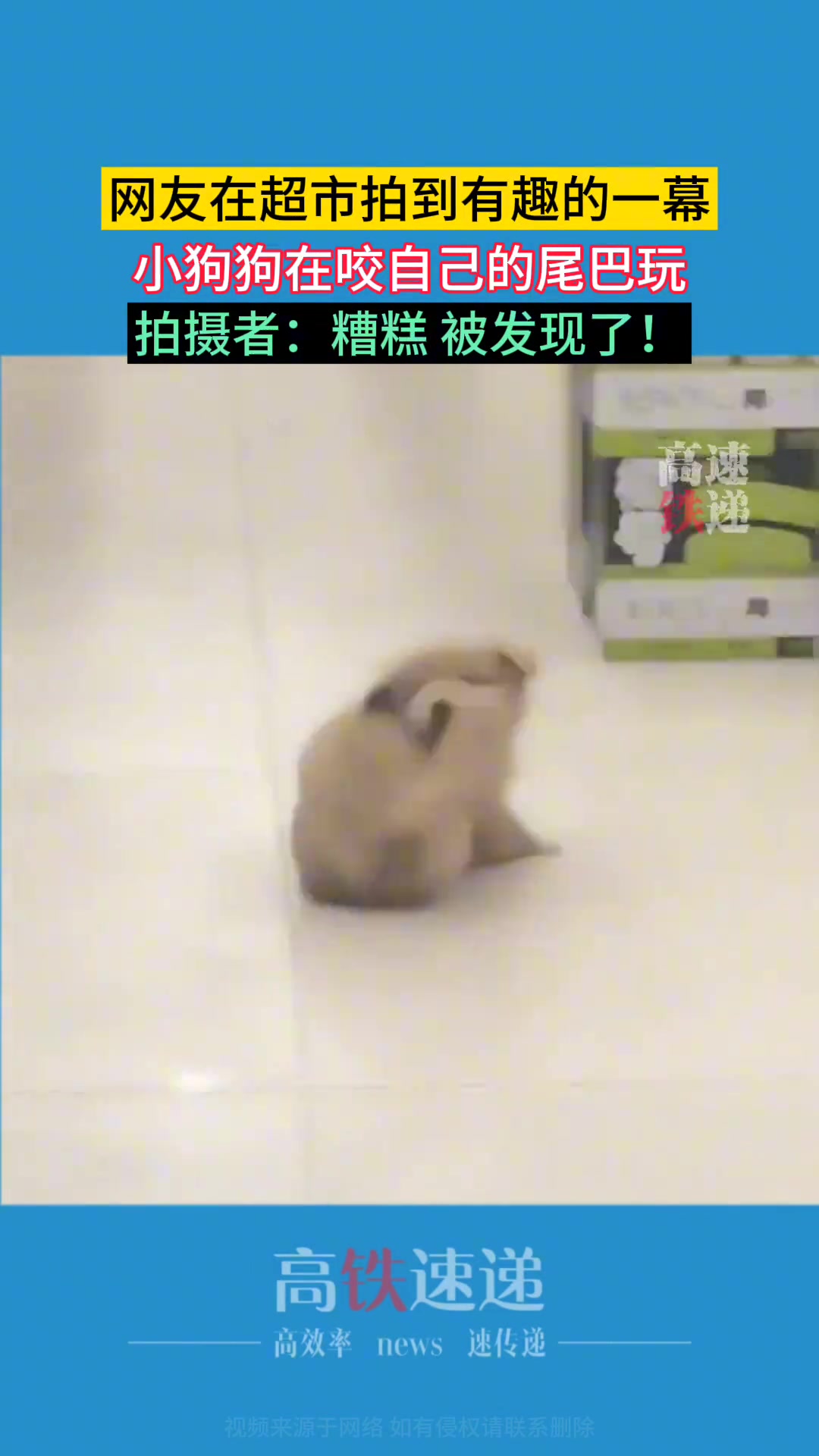 此刻的幸福就是你的尾巴尖！