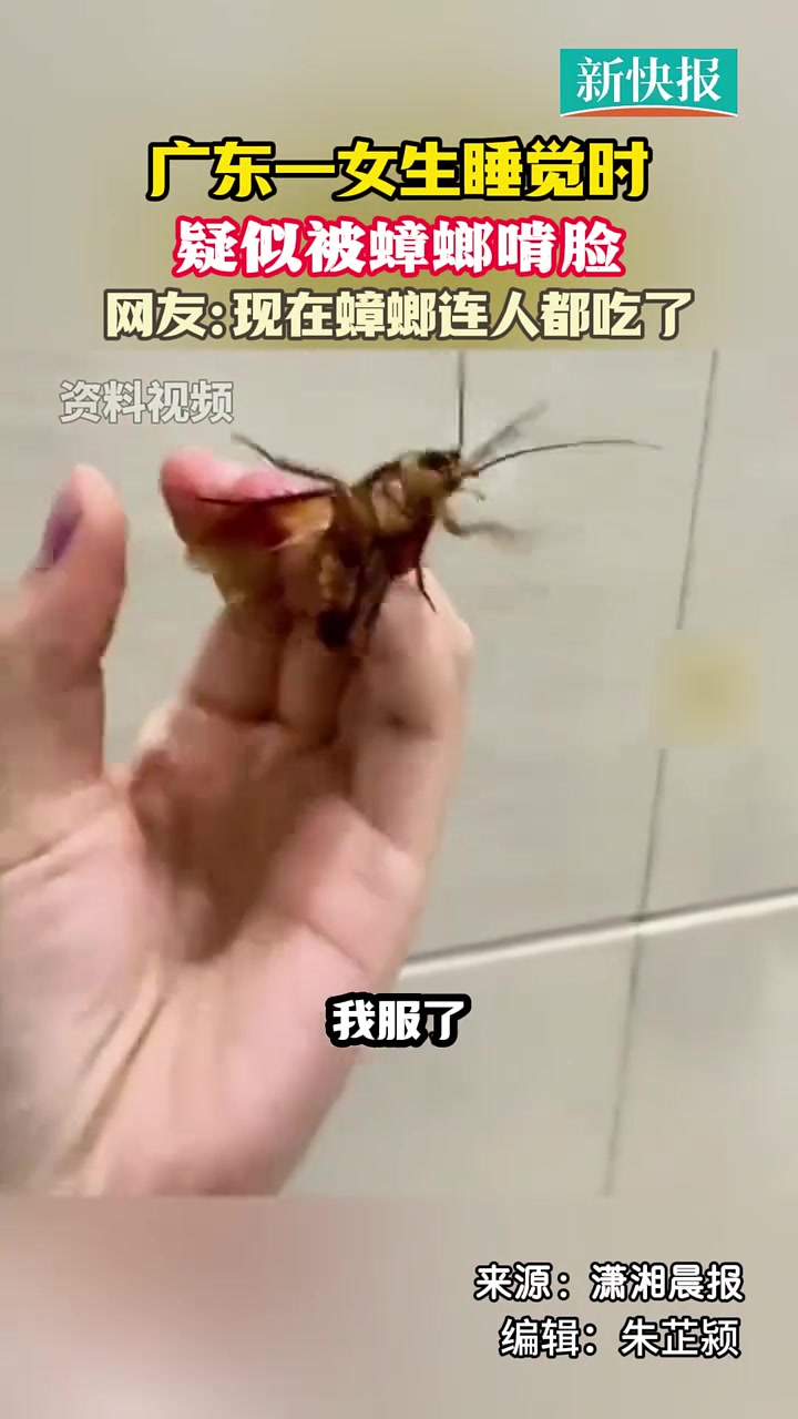 现在蟑螂连人都吃了？