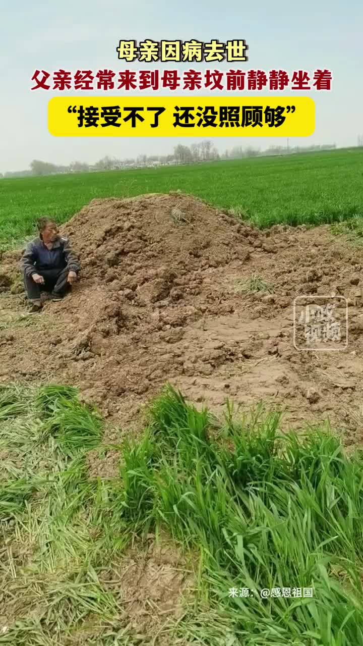 父母爱情，情深意重