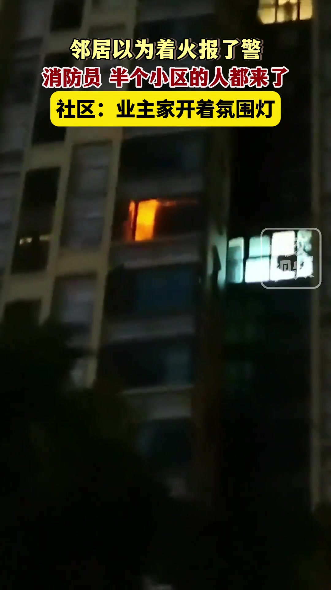 好家伙，玩氛围 火了