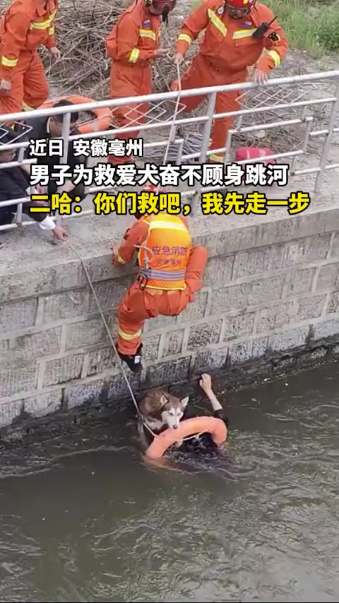 男子为救爱犬奋不顾身跳河二哈：你们救吧，我先走一步