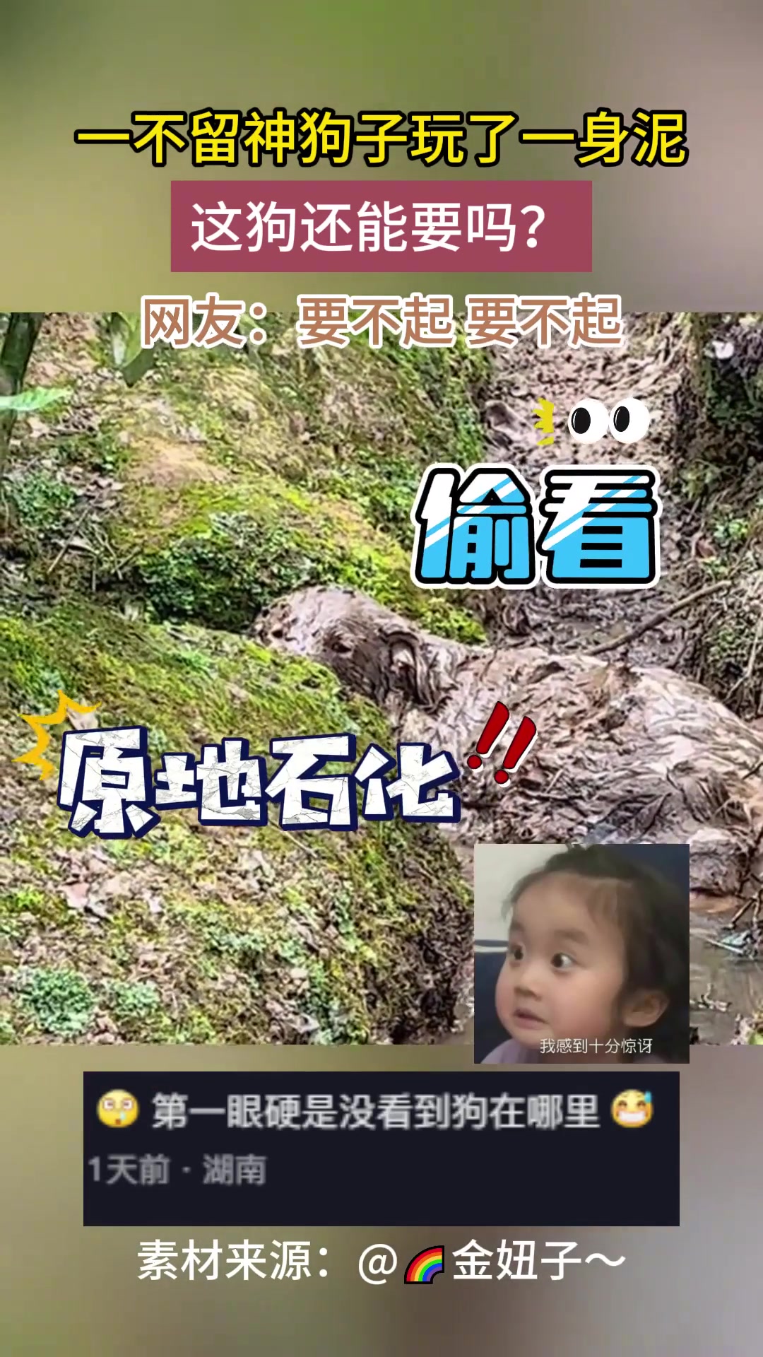 一不留神狗子玩了一身泥，这狗不能要了