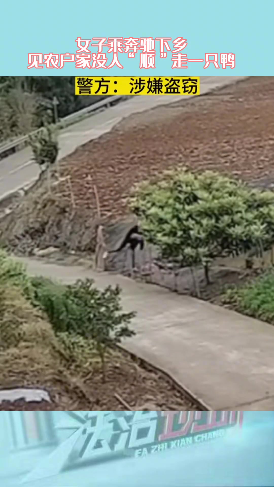 她是万万没想到在这渺无人烟的地方 居然有监控吧