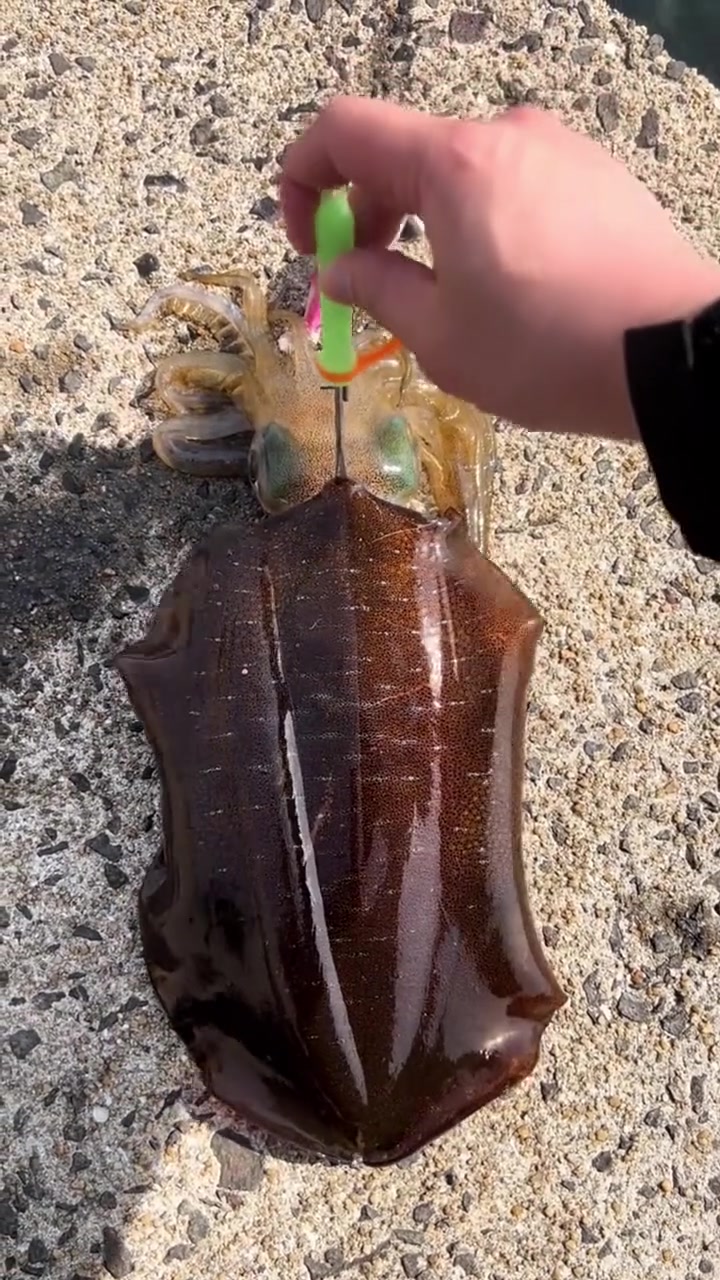 冷白皮的诞生过程