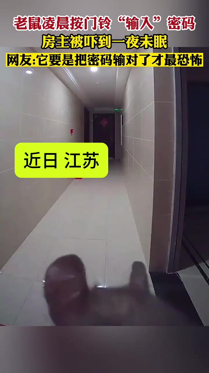 老鼠凌晨按门铃“输入”密码，被吓到一夜未眠！