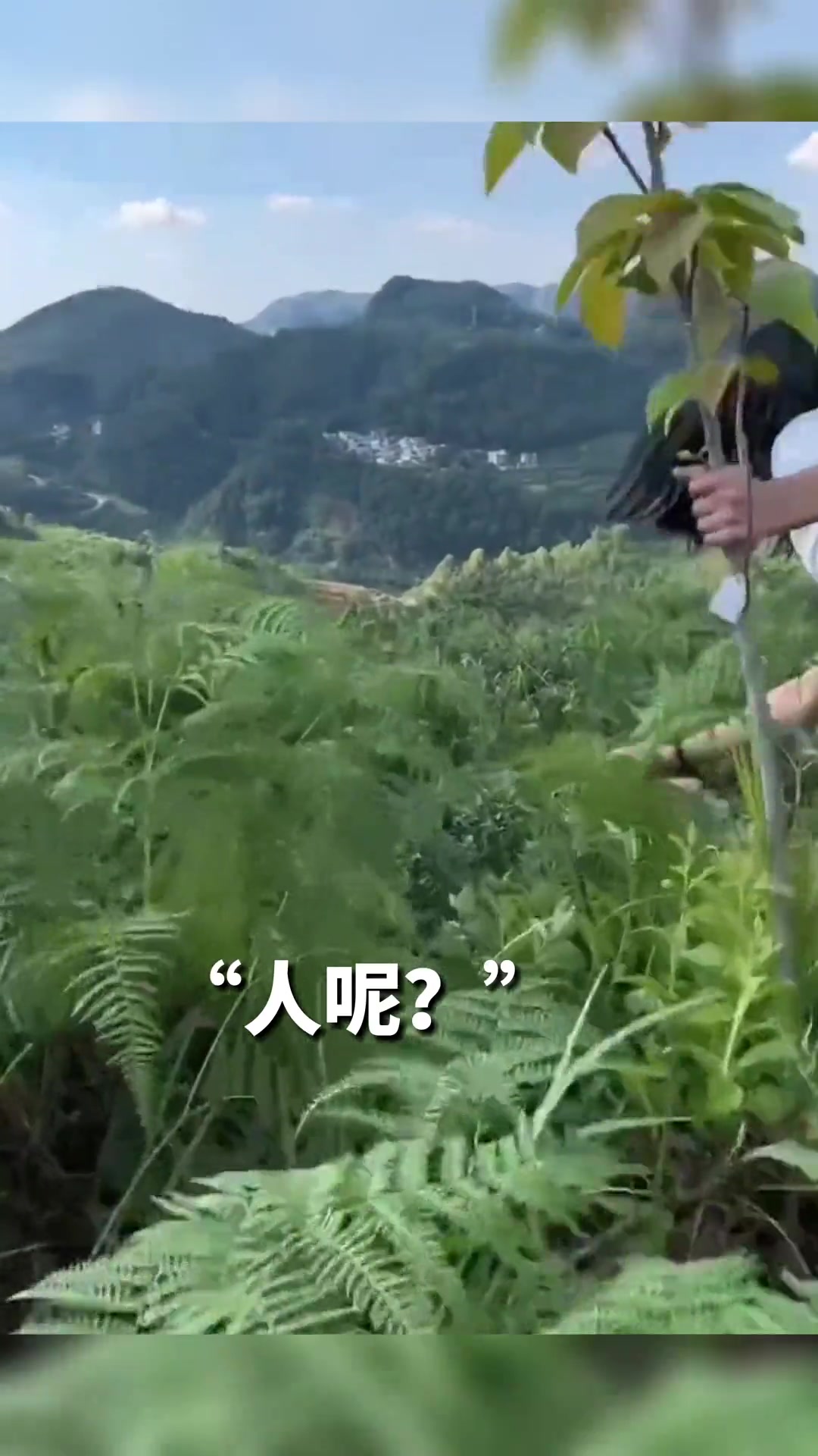 女生本想拍个美照 结果下一秒发生意外…