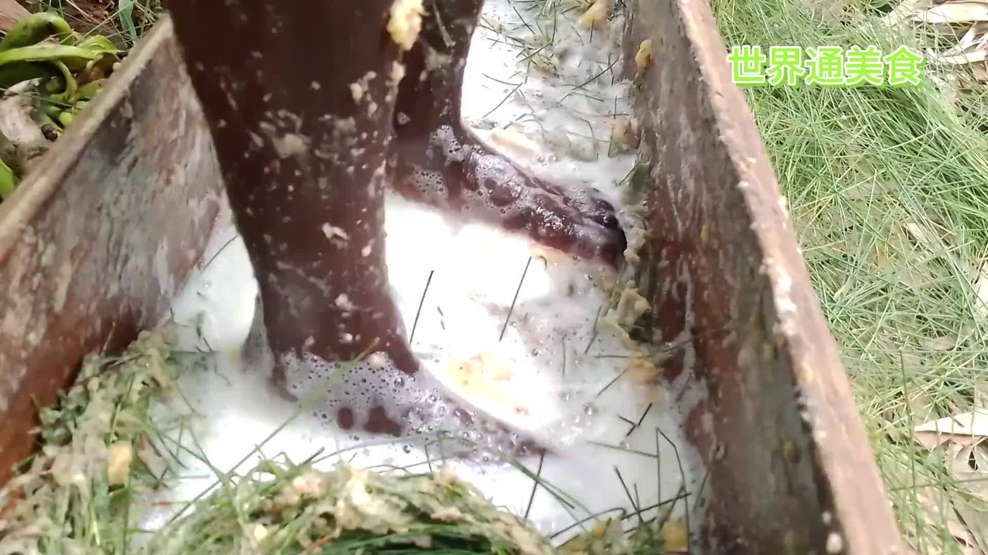 老原生态了！非洲乡村美食之“酸甜香蕉汁”