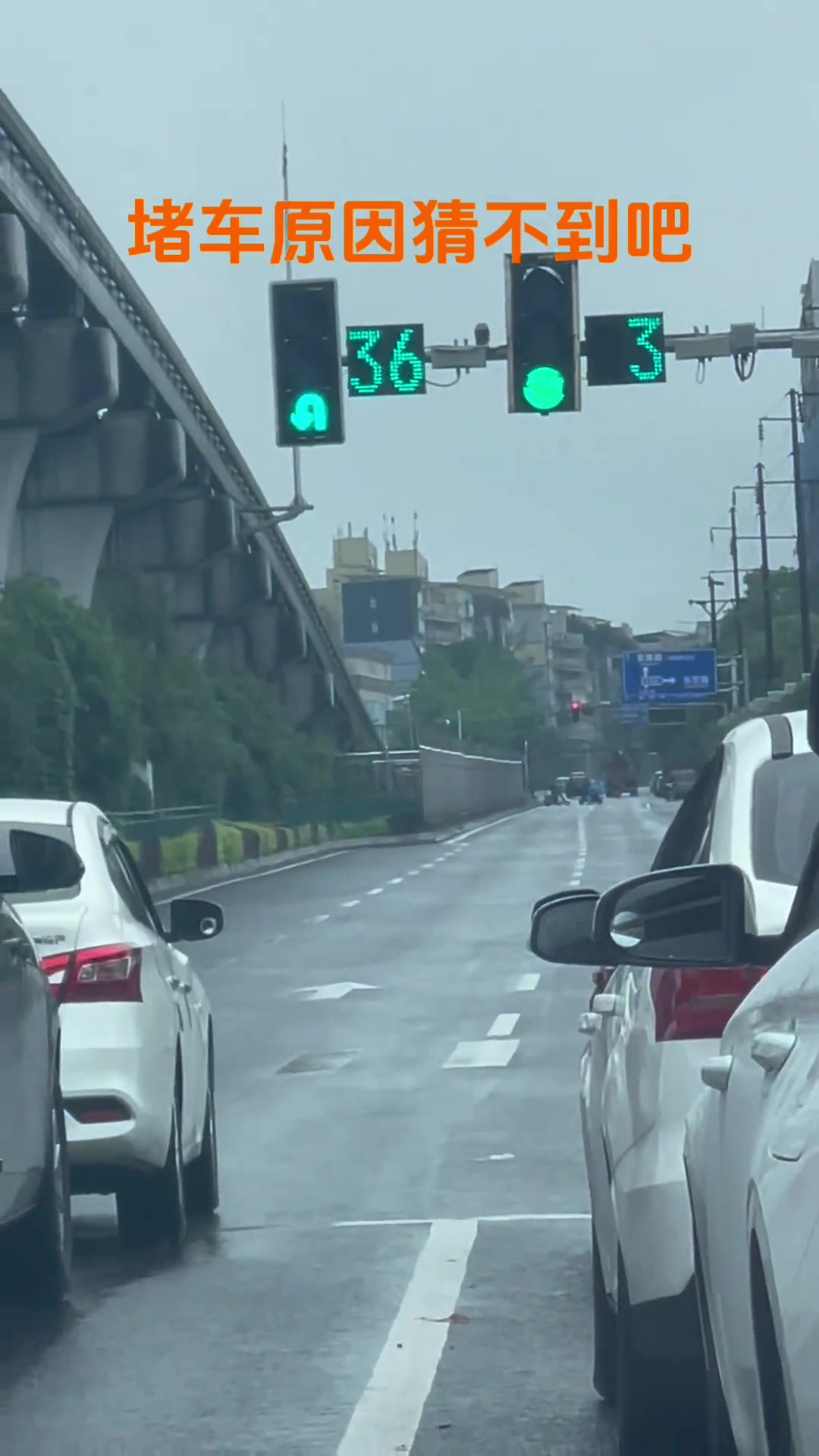 堵车你永远猜不到什么原因