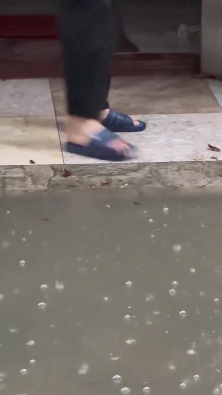蟑螂：我海陆空三栖，对你不离不弃