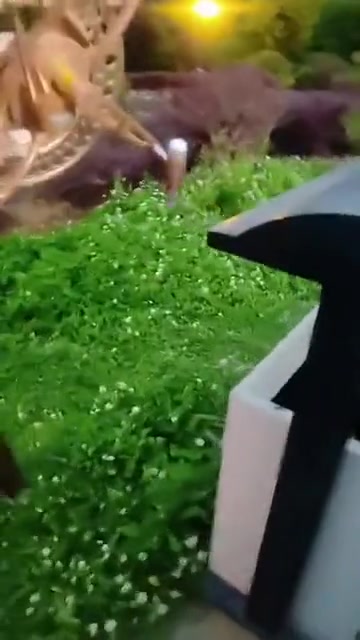 这都不放手，等啥呢