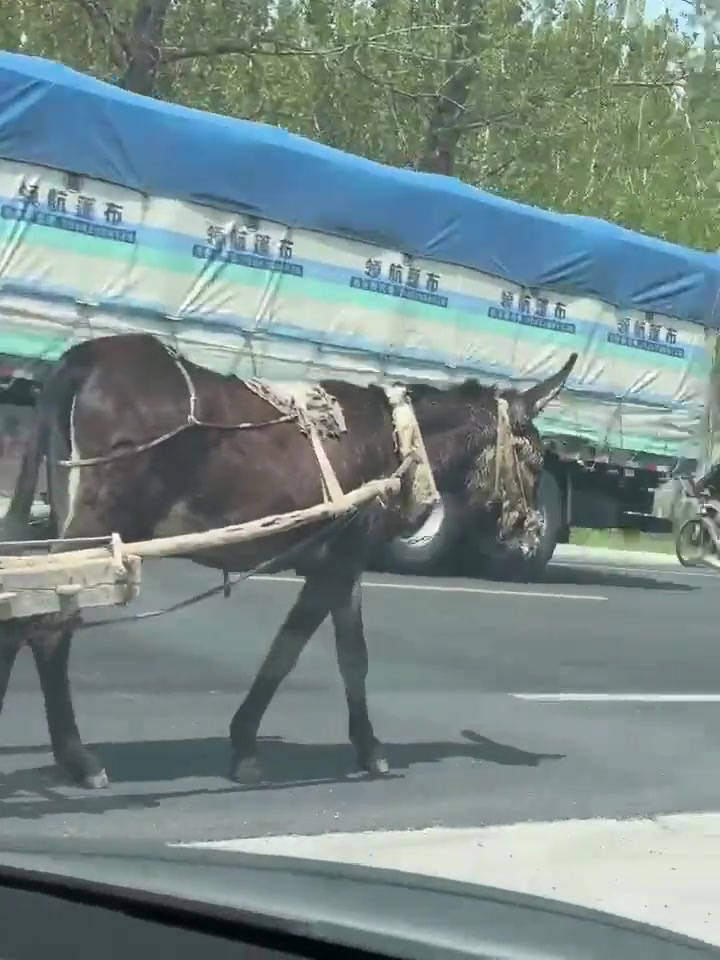 四缸涡轮增压，全景无天窗，绿色环保自动巡航