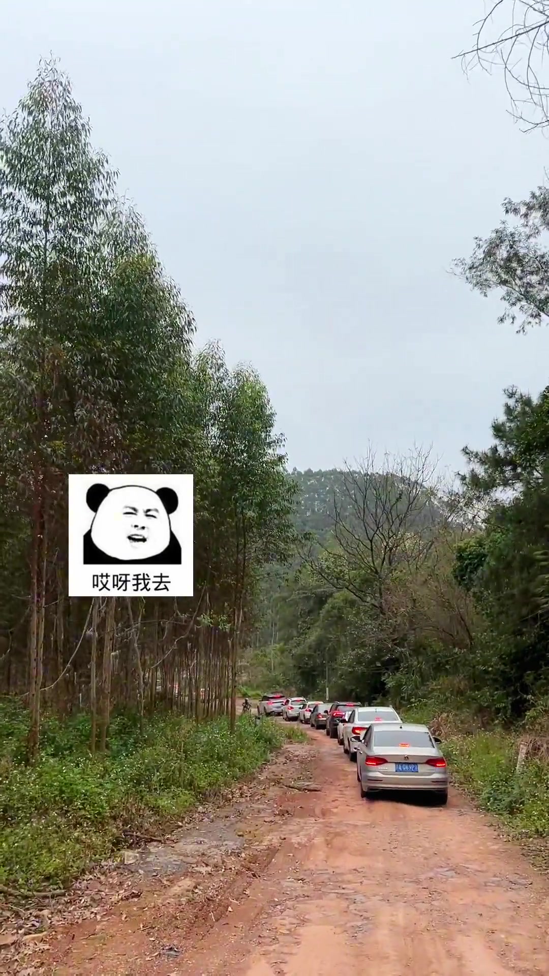 抄近路抄到了半山腰上了…