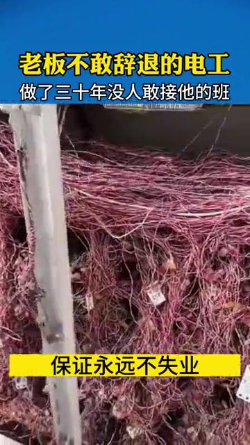 这要是辞职的话 半个公司就得瘫痪