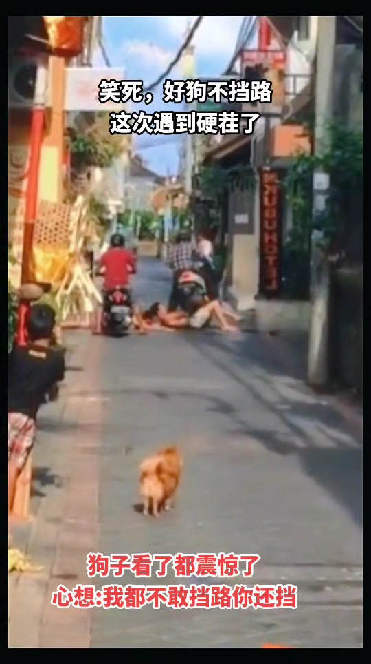 你真以为这大马路是你家的呢？