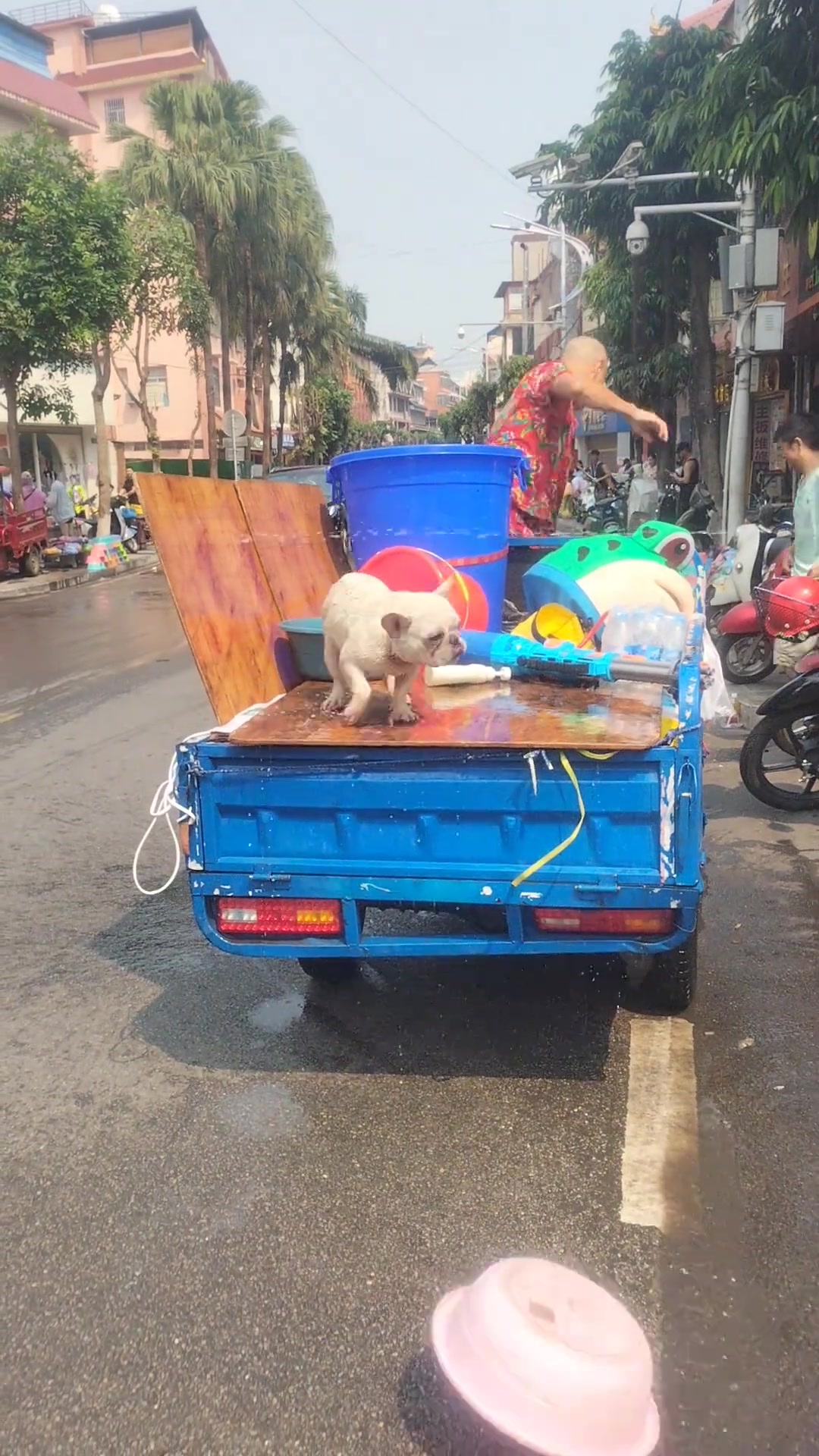 真的是连路过的狗都不放过