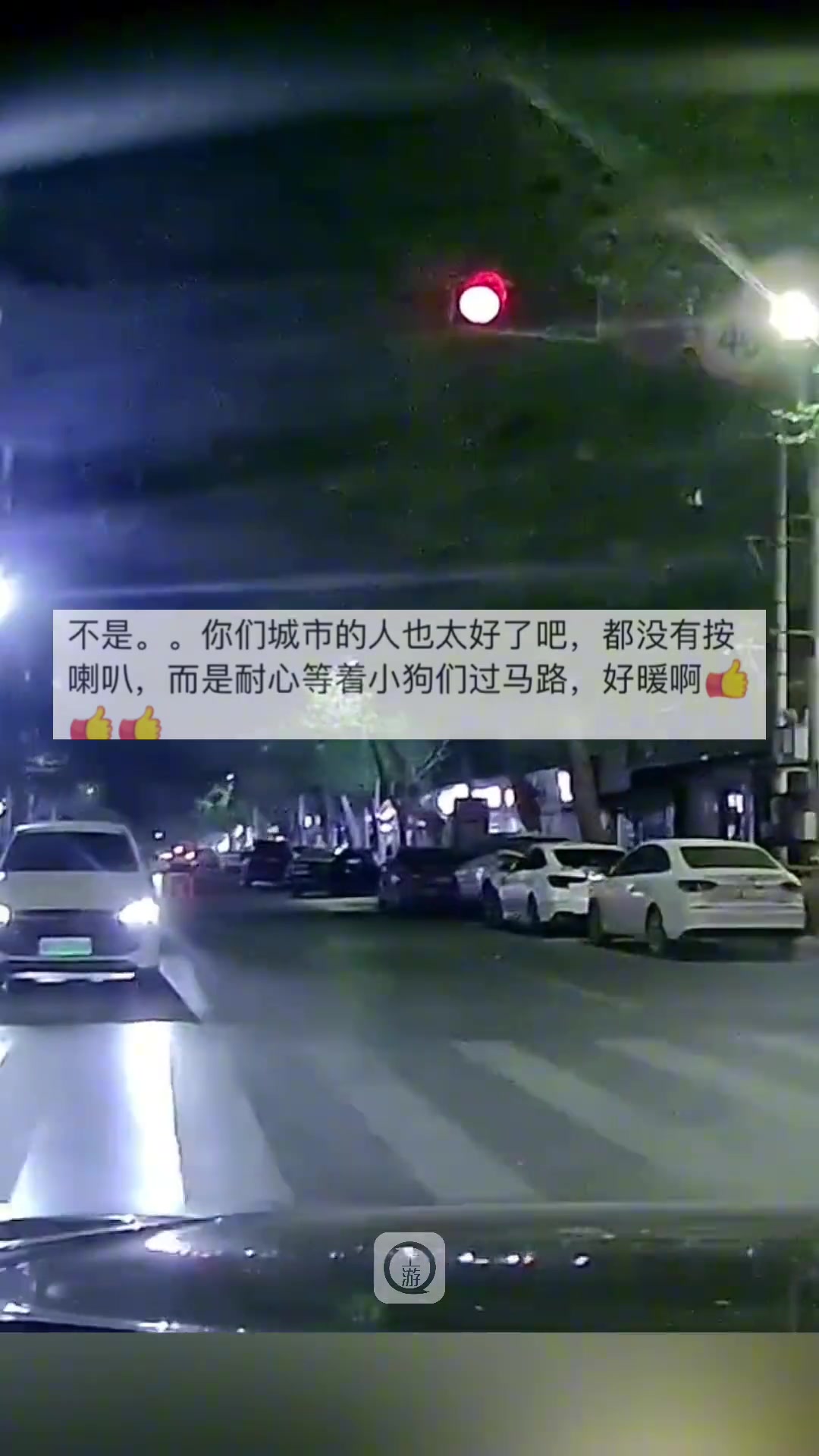 多位市民偶遇衡水“F4”!
