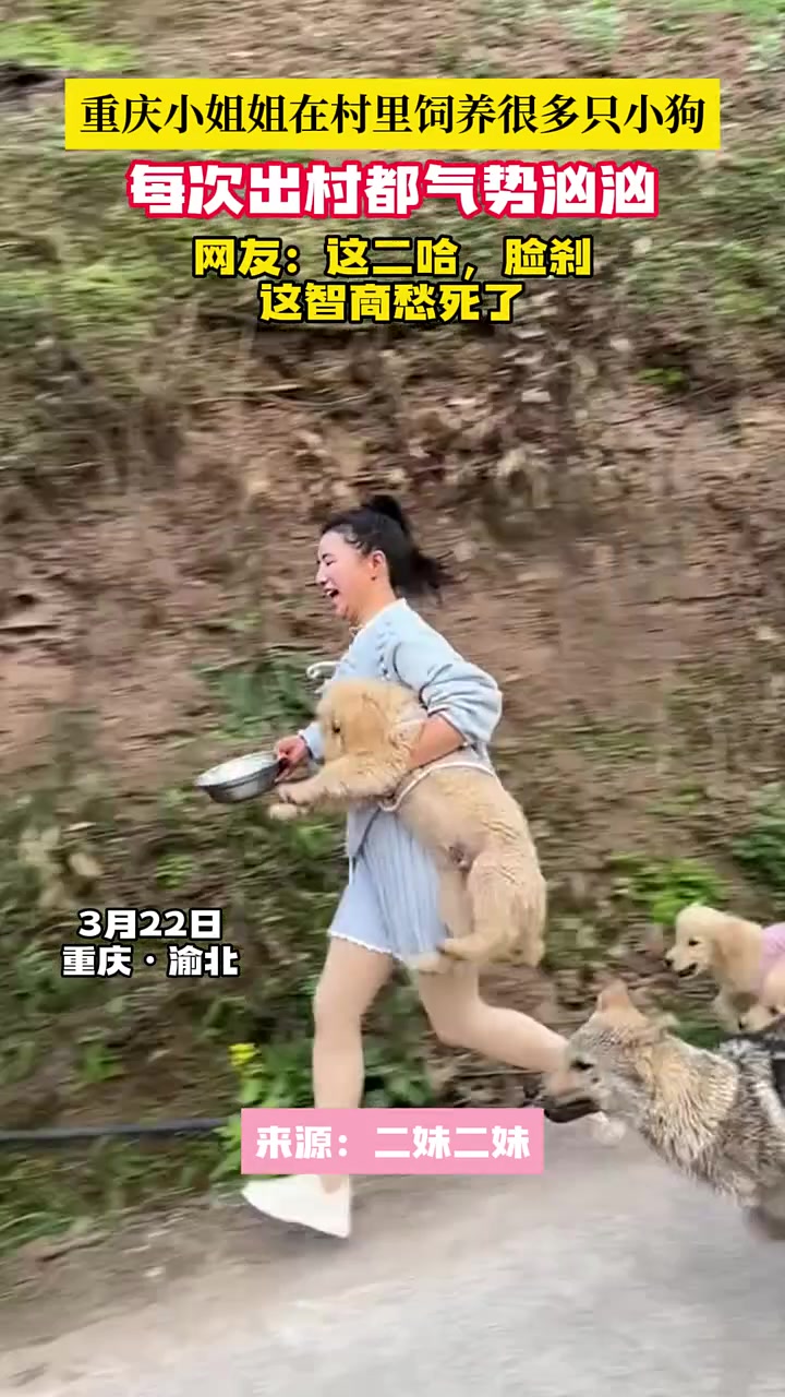 这也太Q了，我说的是狗狗