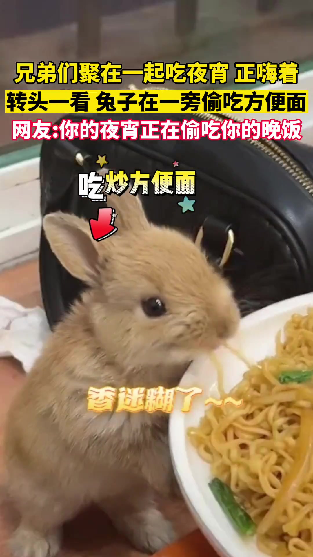 兔子不是只吃蔬菜吗？还要吃碳水啊