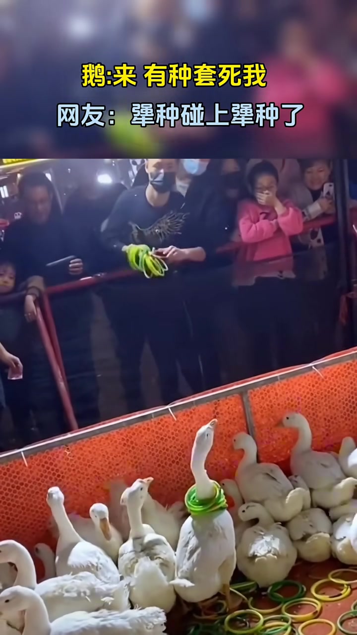 两个犟种之间的对决