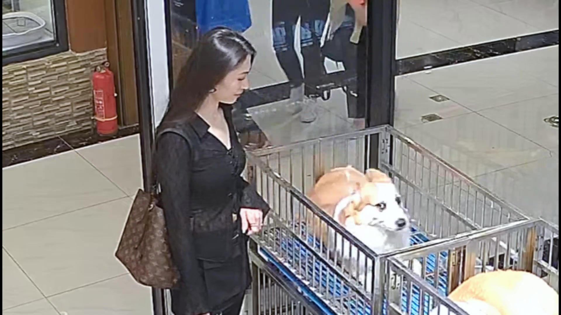 这些拿到就是传说中“色狗”？